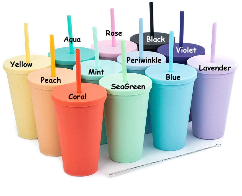 Pastel Matte Tumbler: Summer Vibes Acrylic Cup with Straw (16 oz)